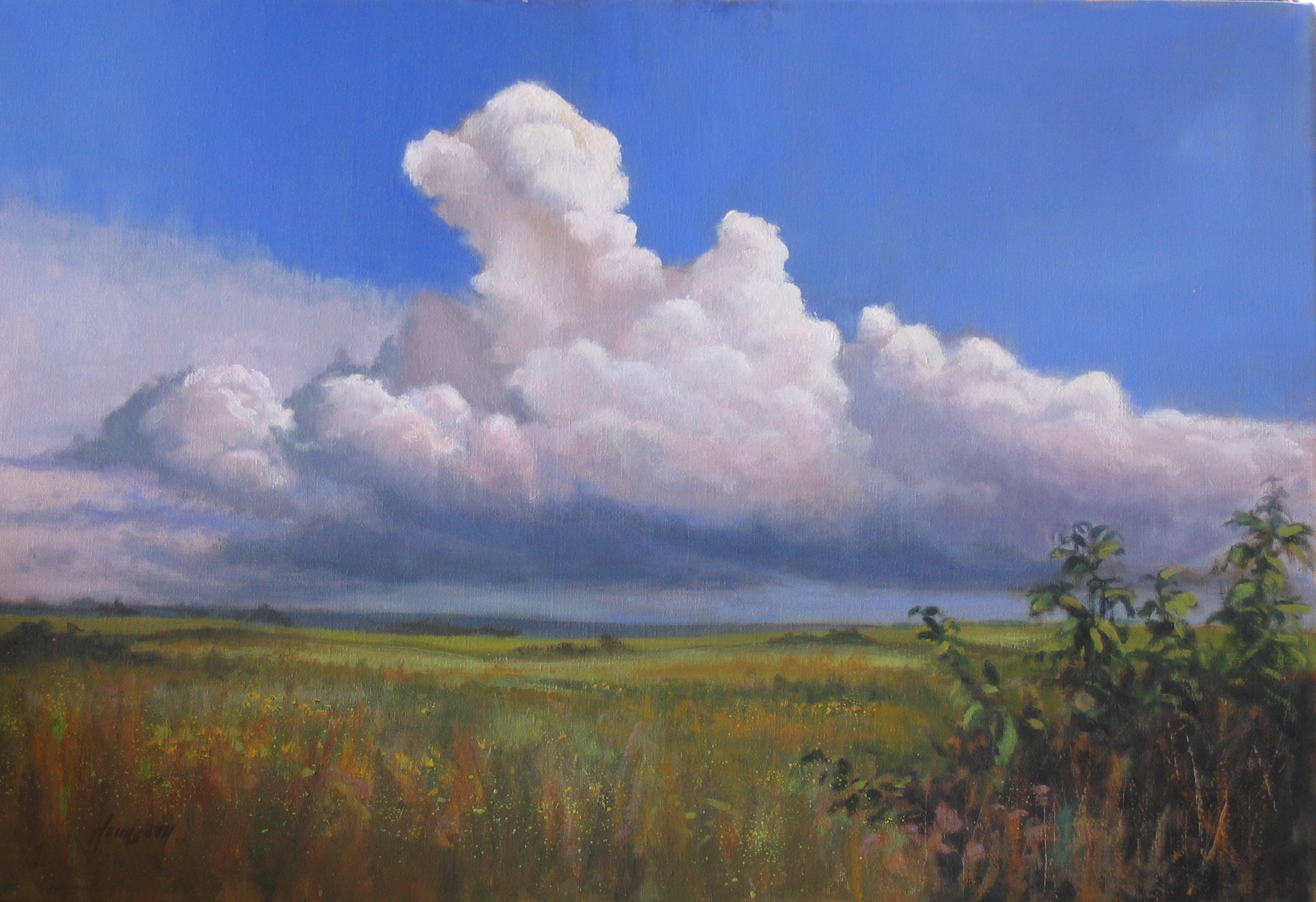 Prairie Sky 